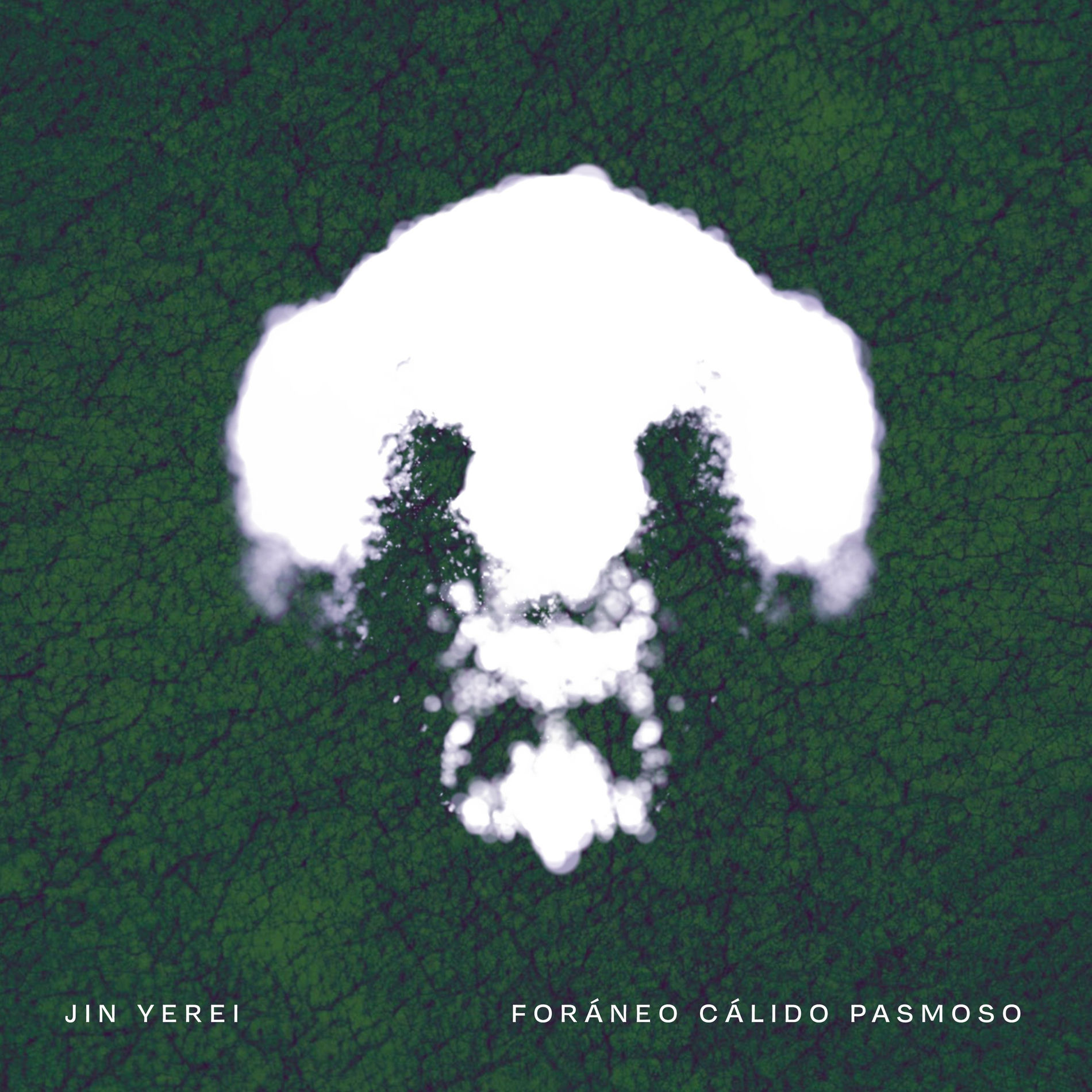 Album cover of Foráneo, Cálido, Pasmoso
