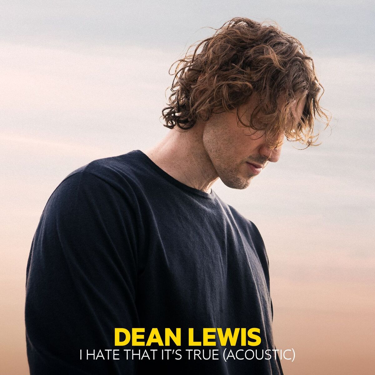 Album cover of I Hate That It's True (Acoustic)