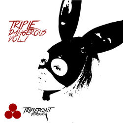 Cover of Triple Dangerous Vol. 1