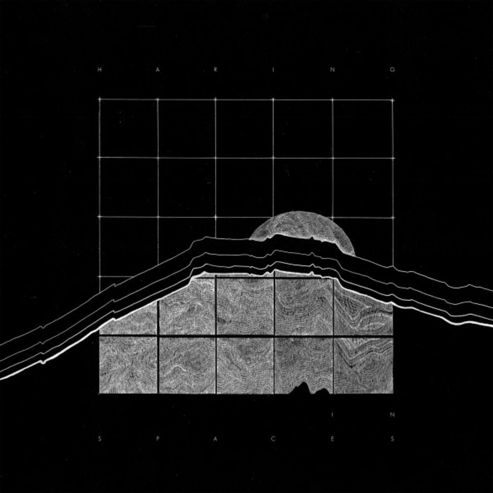 Picture of In Spaces
