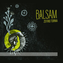 Cover of Balsam