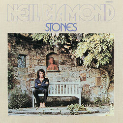 Cover of Stones