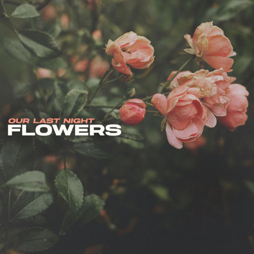 Night Flowers by Night Flowers - 105 BPM