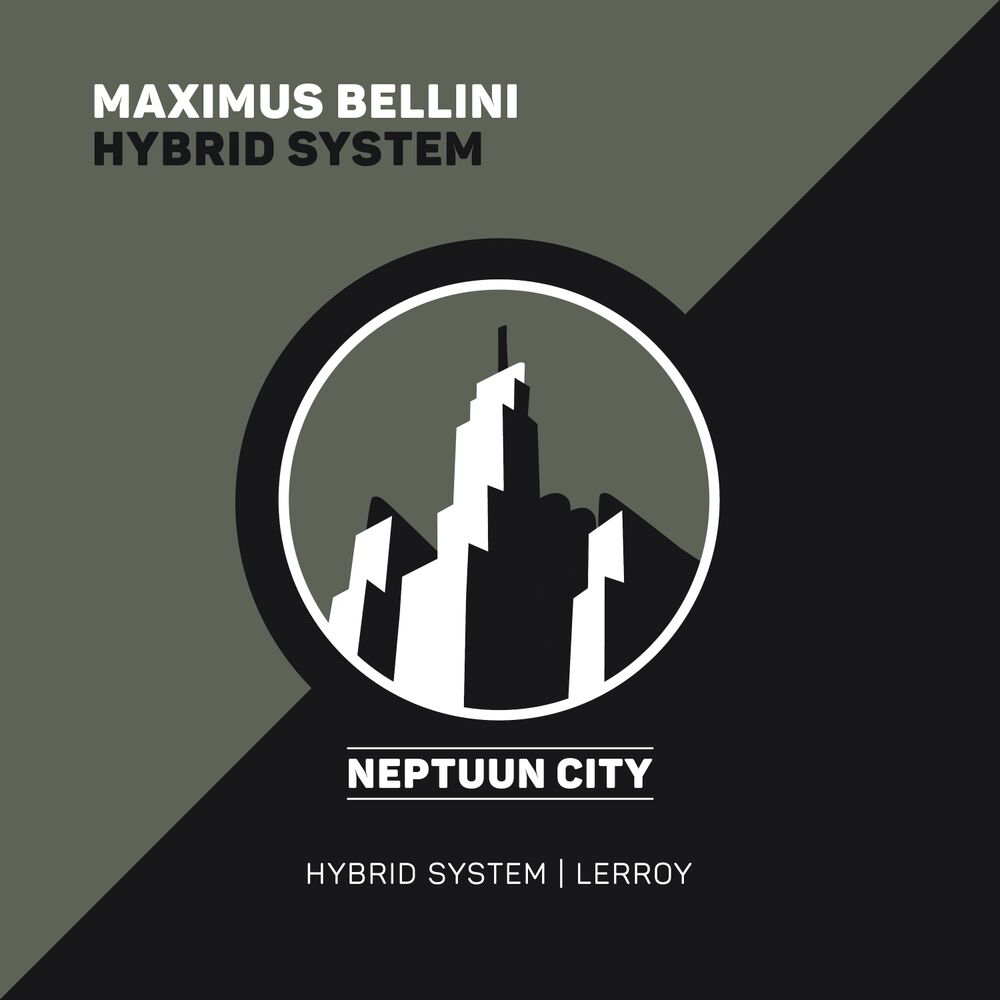 Picture of Hybrid System