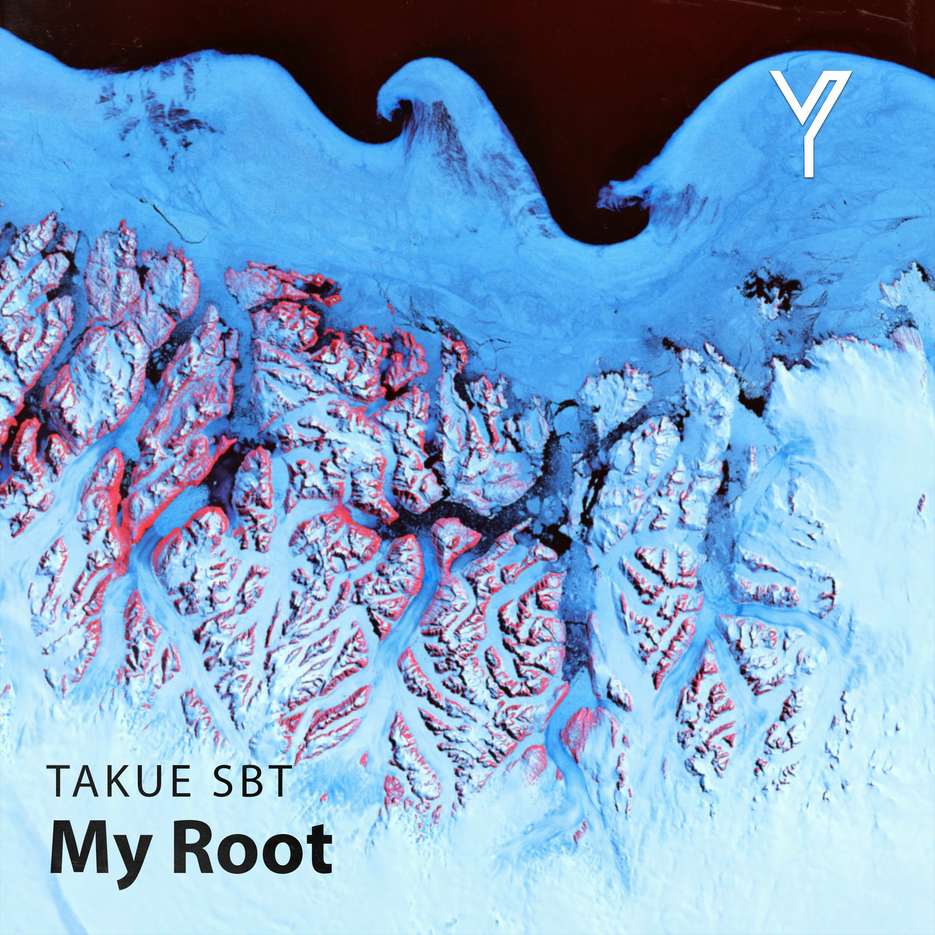 Album cover of My Root