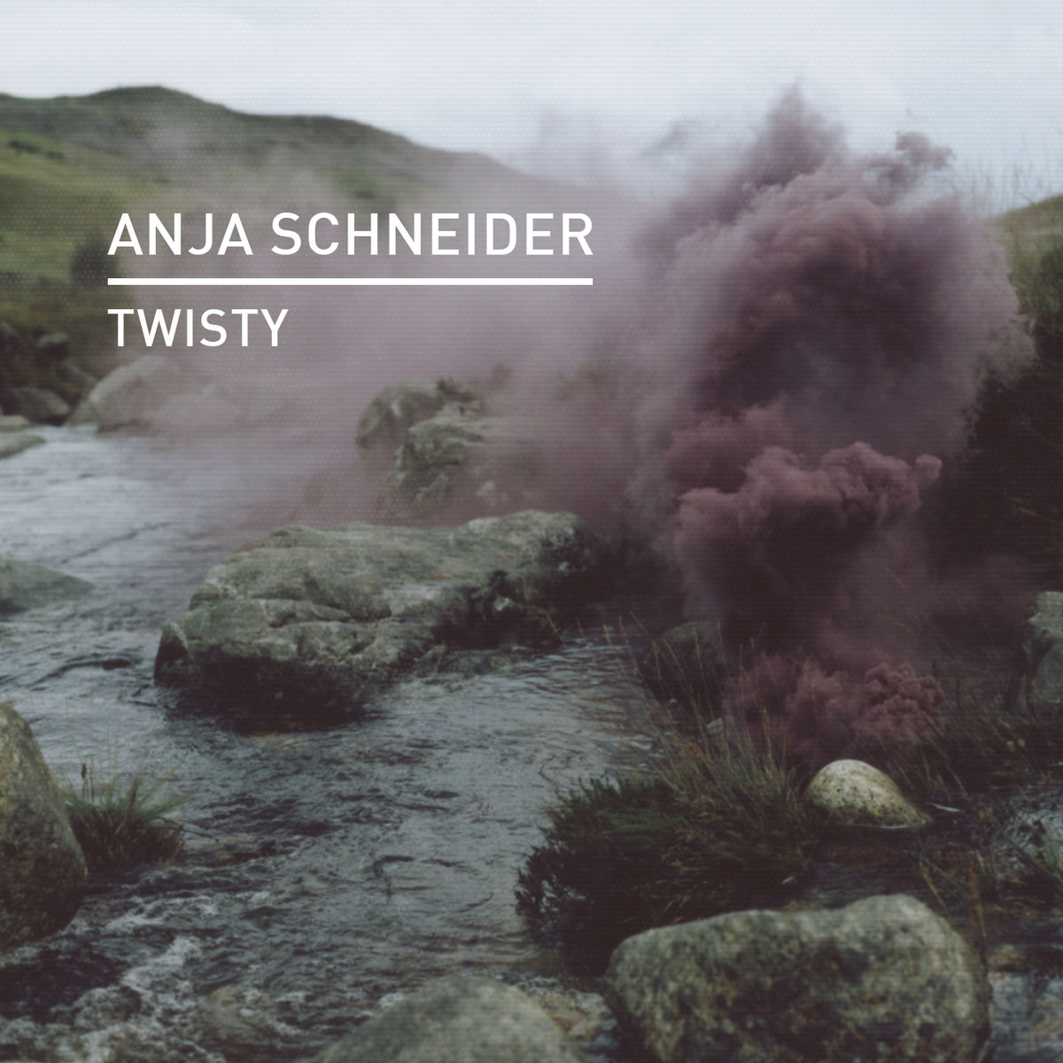 Album cover of Twisty