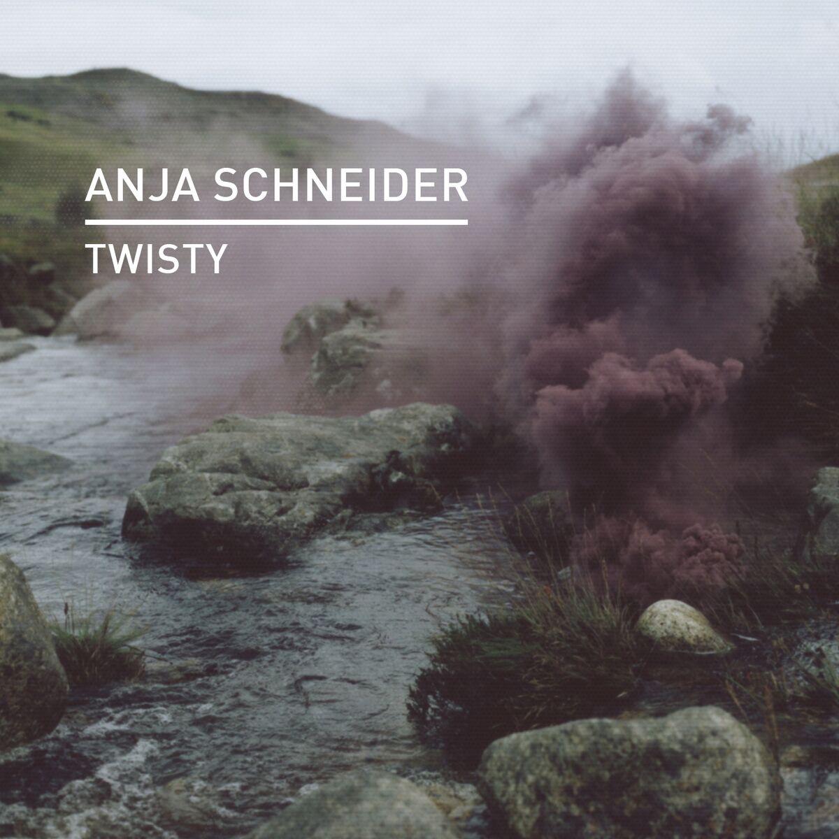 Album cover of Twisty