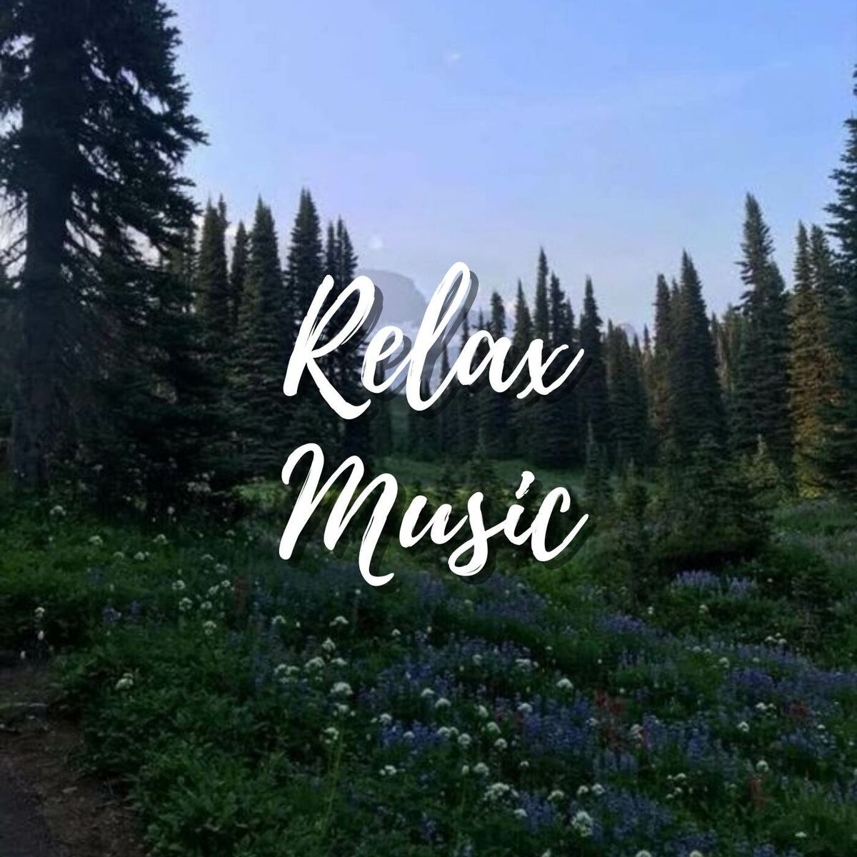 Album cover of Healing Sleep Music