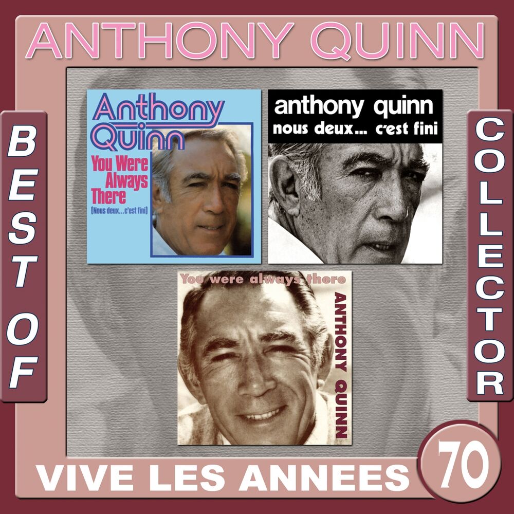 Picture of You Were Always There / Nous deux... c'est fini / Best of Collector / Vive les années 70