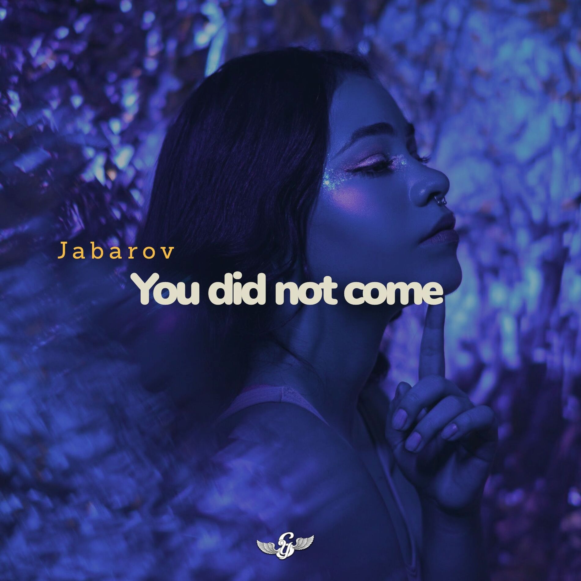Album cover of You did not come