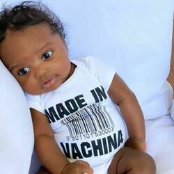 Cover of Vachina
