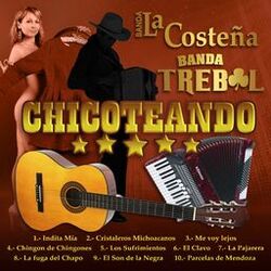 Cover of Chicoteando
