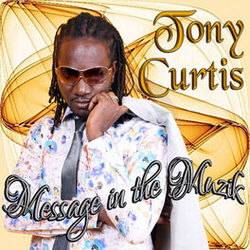 Cover of Message In The Muzik
