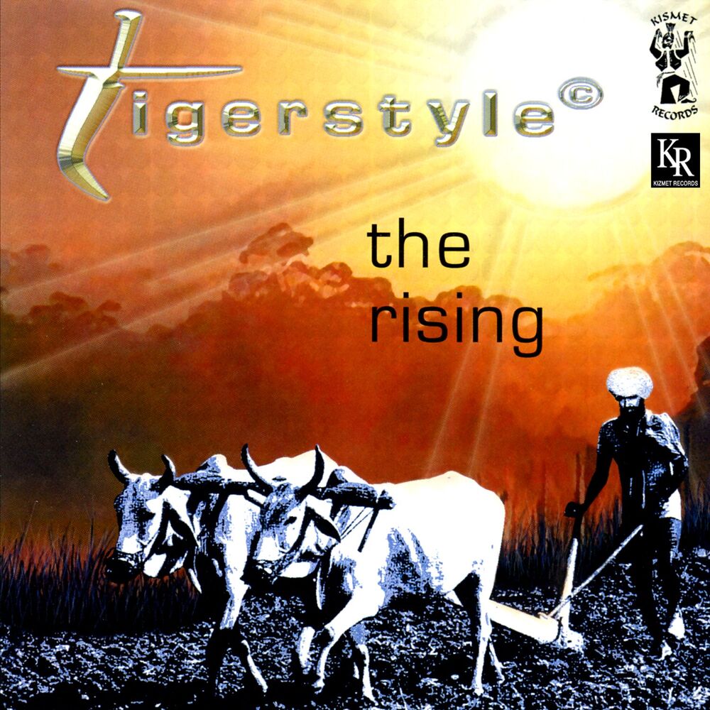 Picture of The Rising