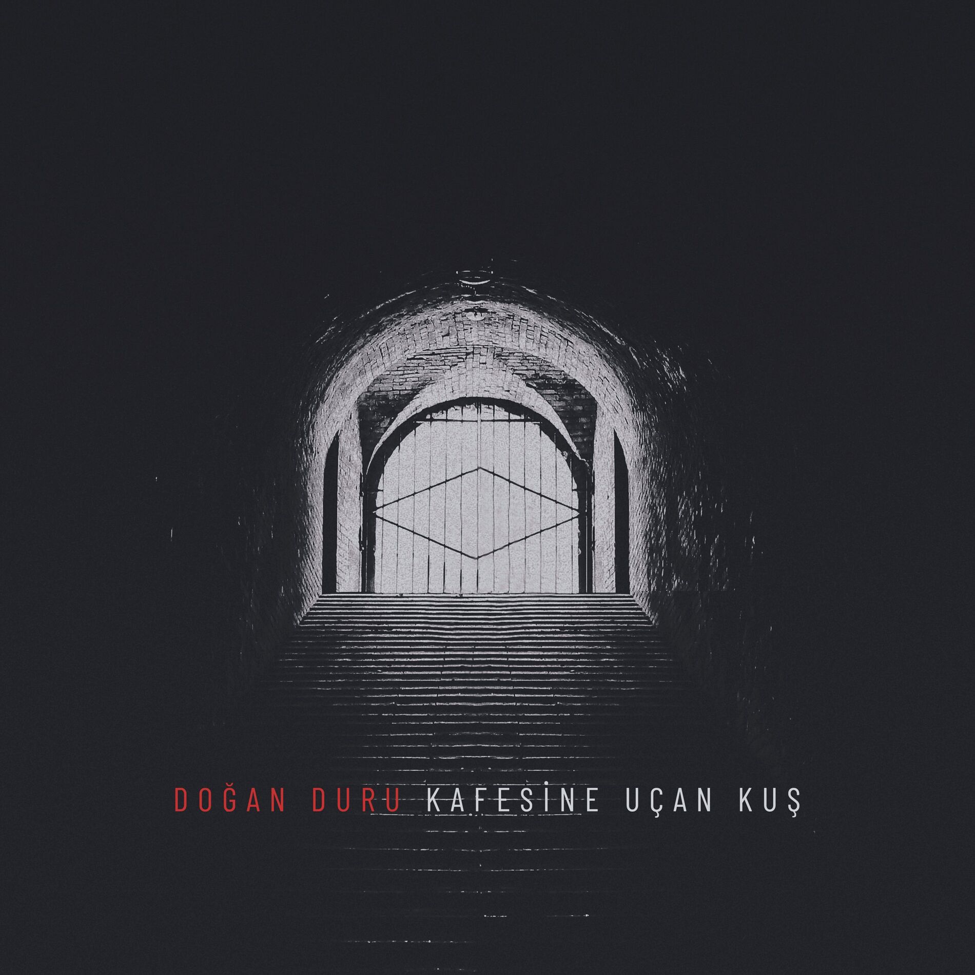 Album cover of Kafesine Uçan Kuş