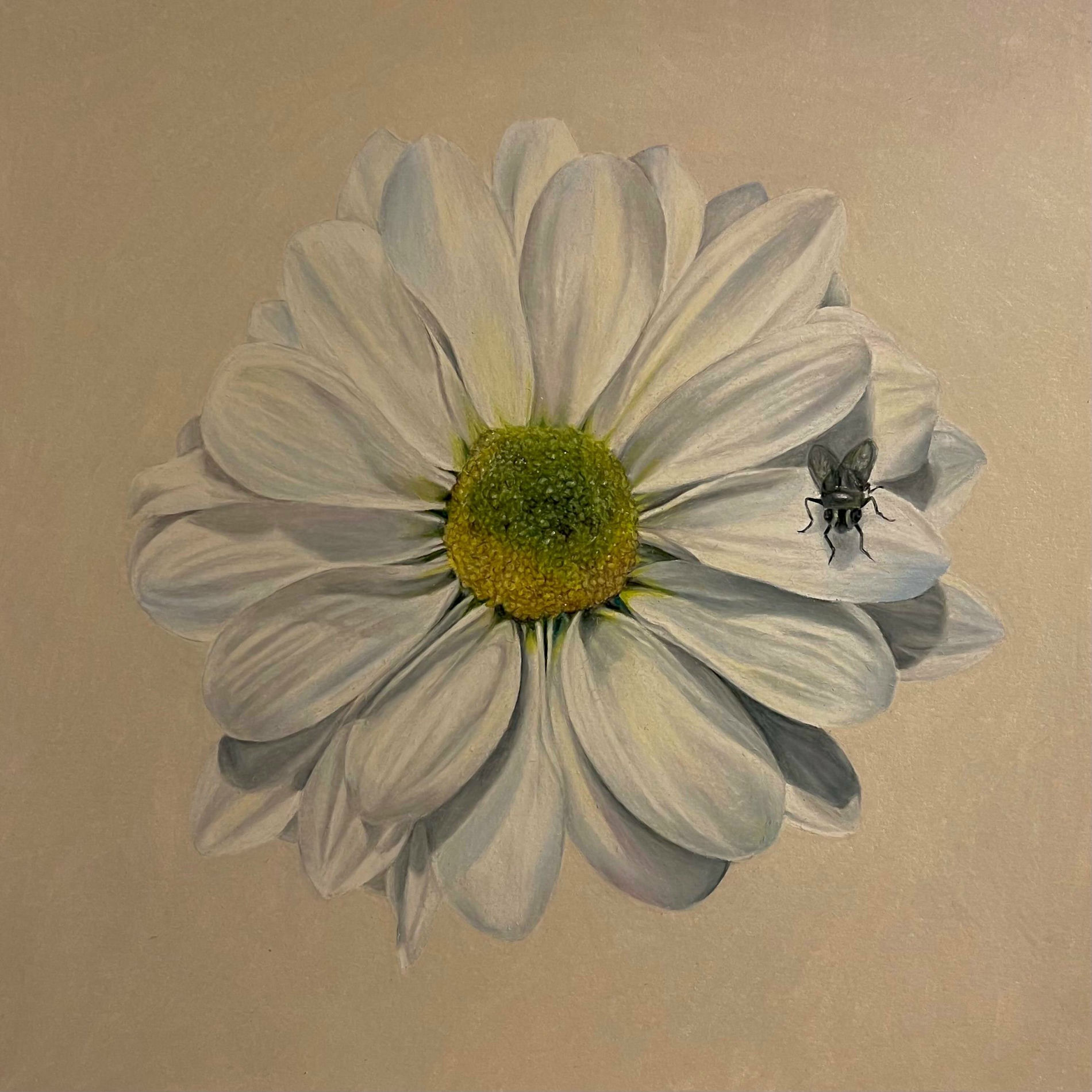 Album cover of spoiling me