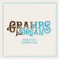 Cover of Positive Vibration