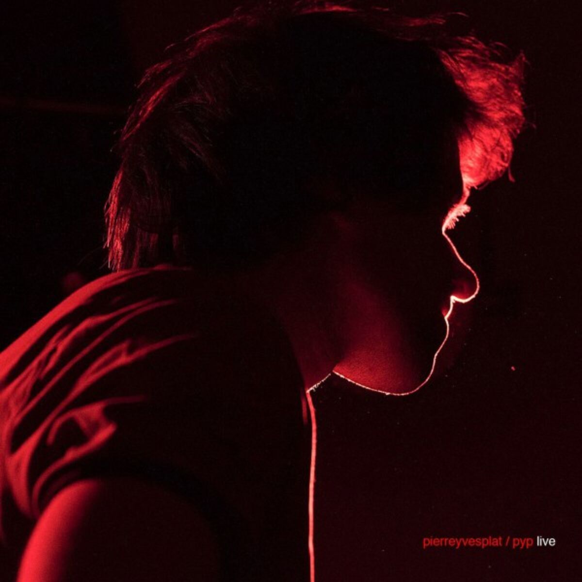 Album cover of Pyp LIVE