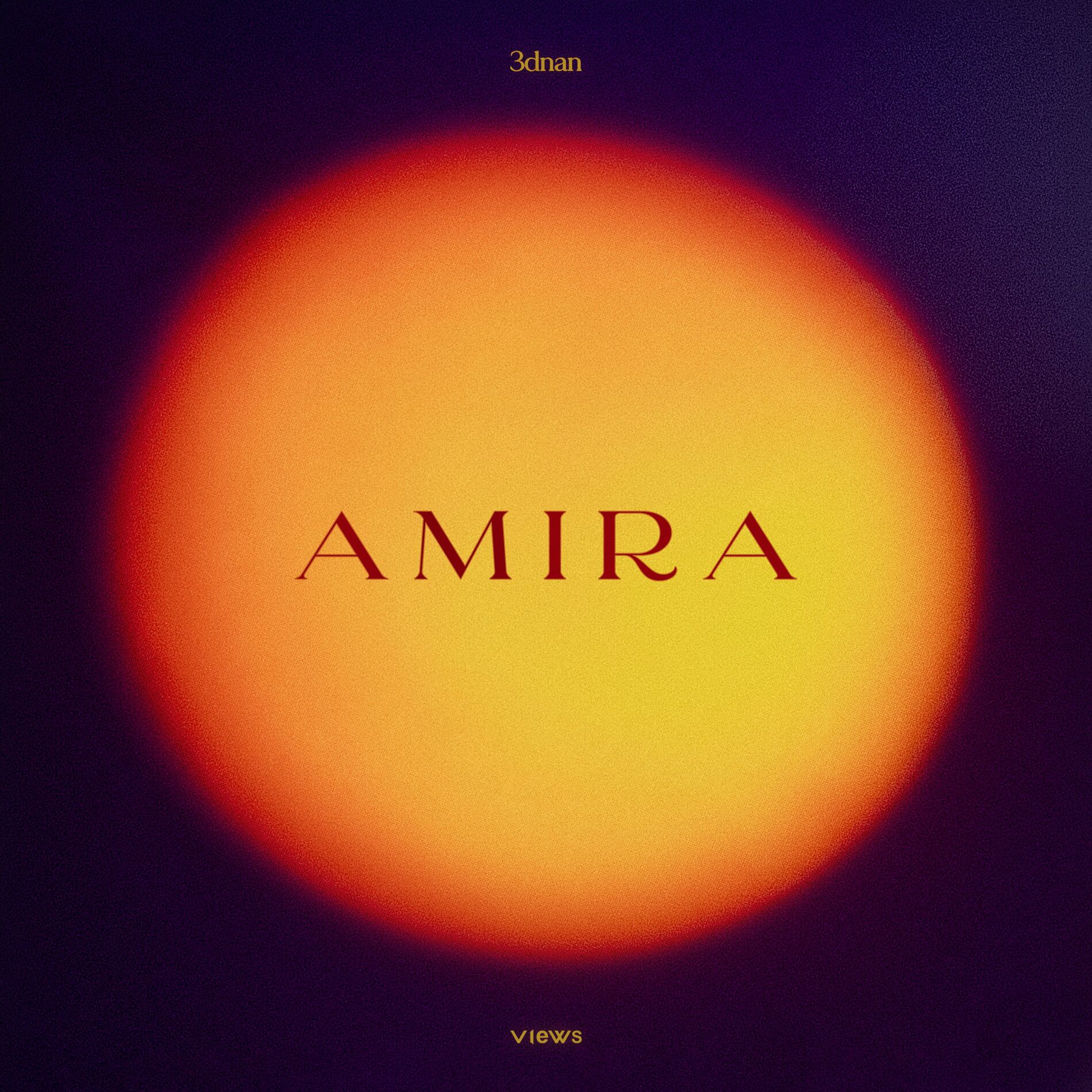 Album cover of AMIRA