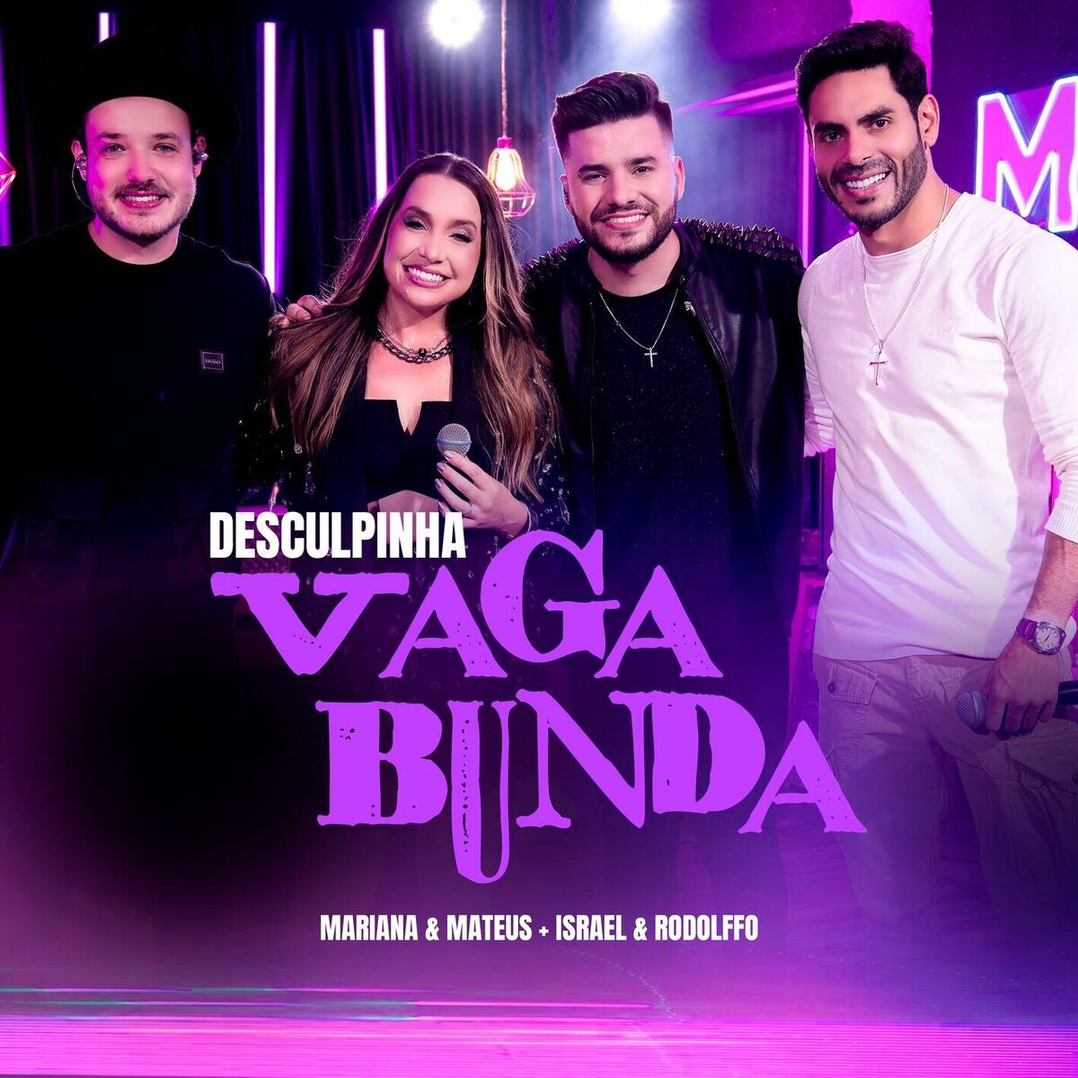 Album cover of Desculpinha Vagabunda