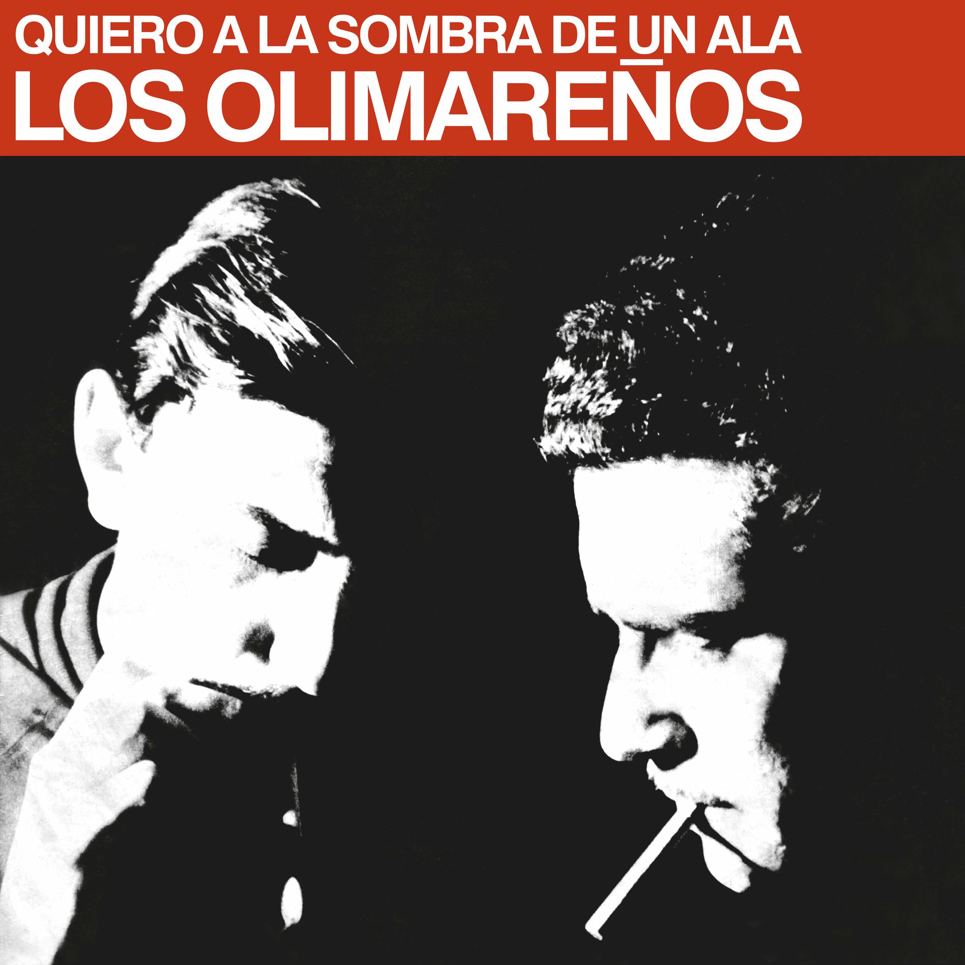 Album cover of Quiero a la sombra de un ala
