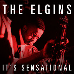 Cover of It's Sensational