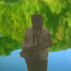 Cover of Bardo