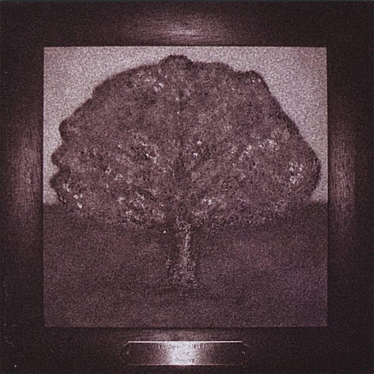 Album cover of The Spirit of Elegy