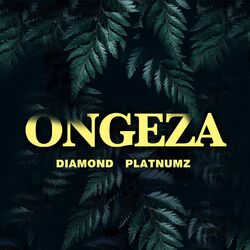 Cover of Ongeza