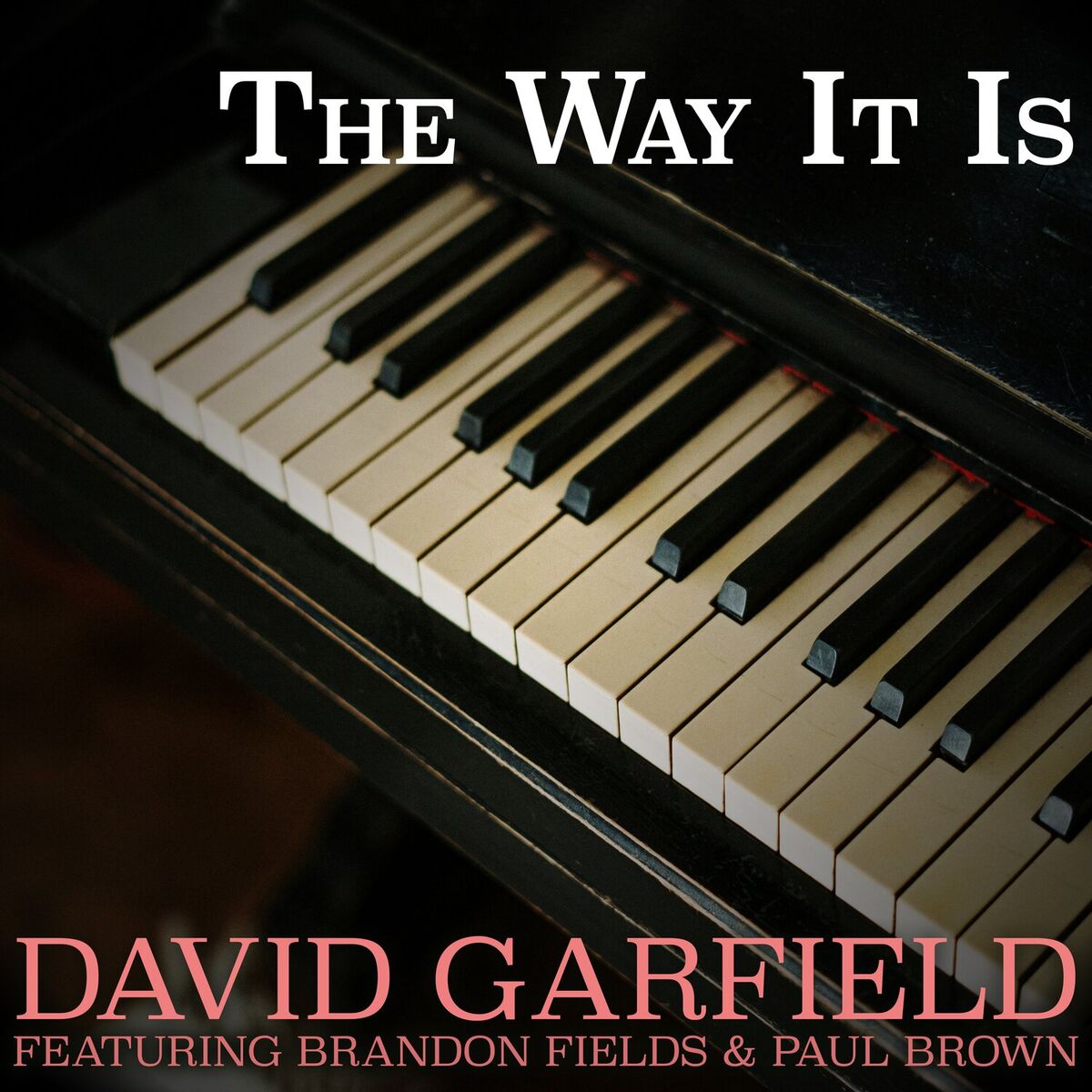 Album cover of The Way It Is