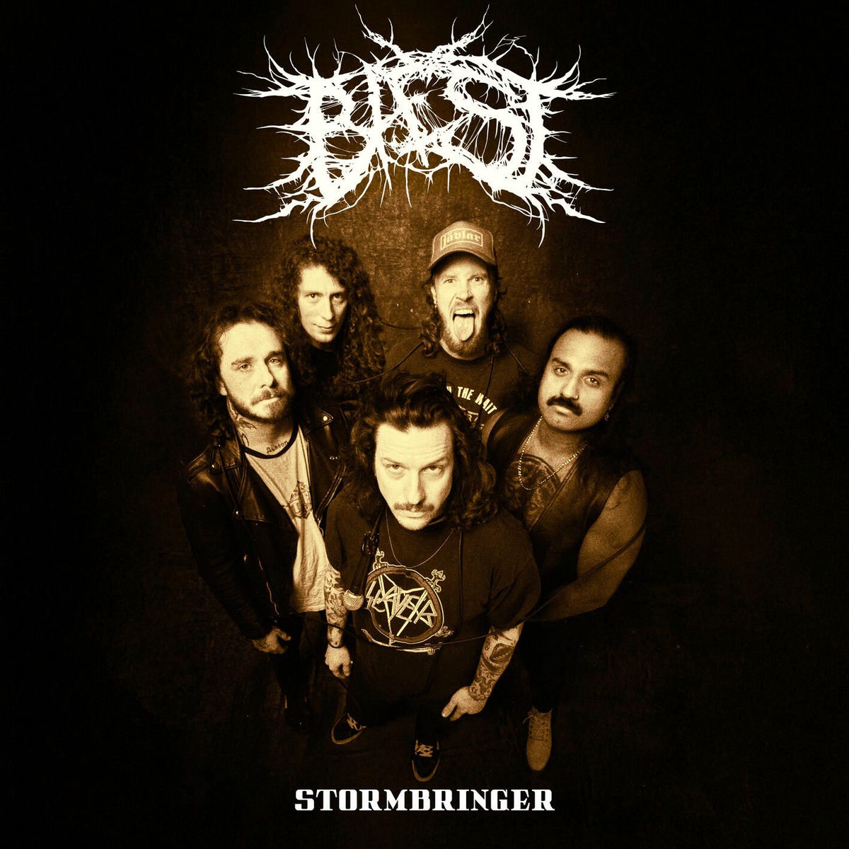 Album cover of Stormbringer