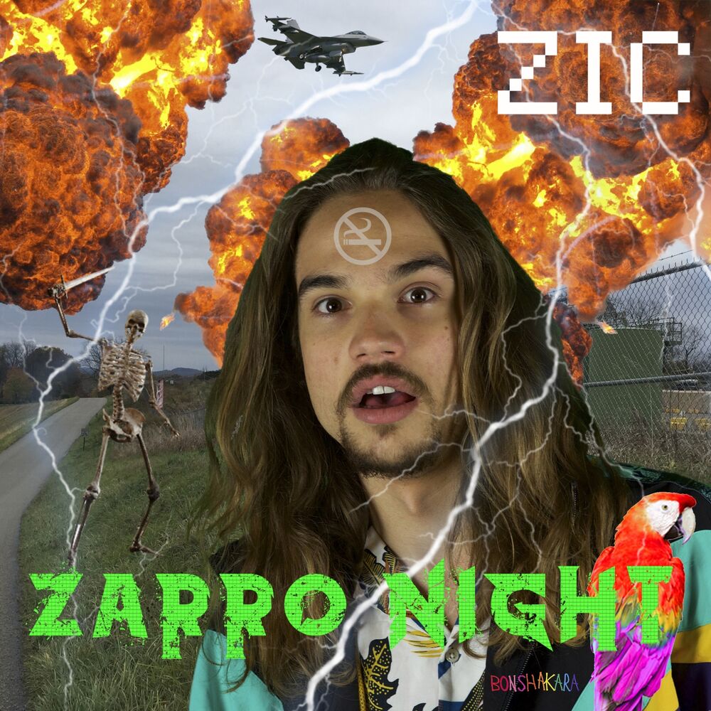 Picture of Zarro night
