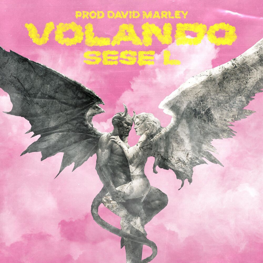 Picture of Volando
