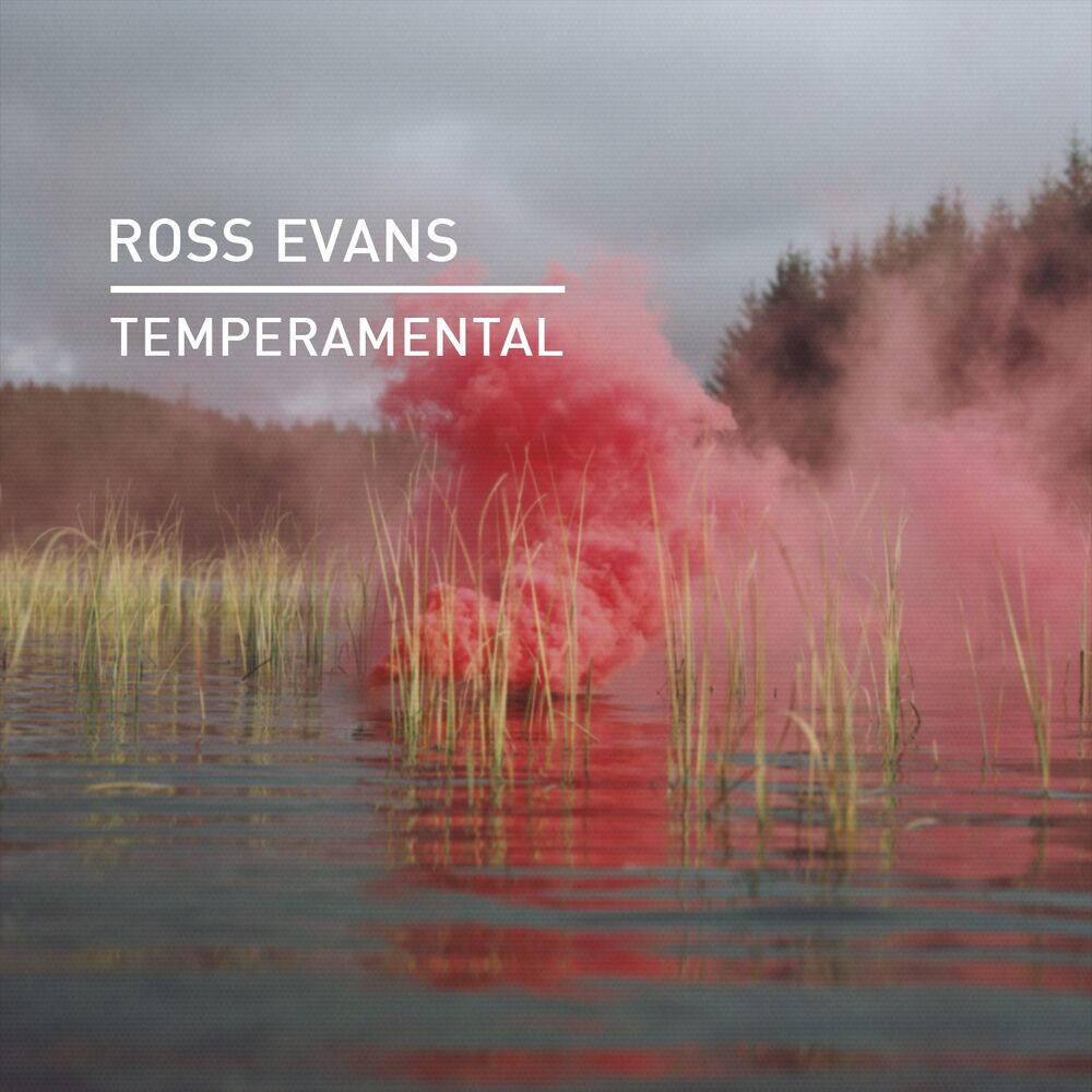 Picture of Temperamental