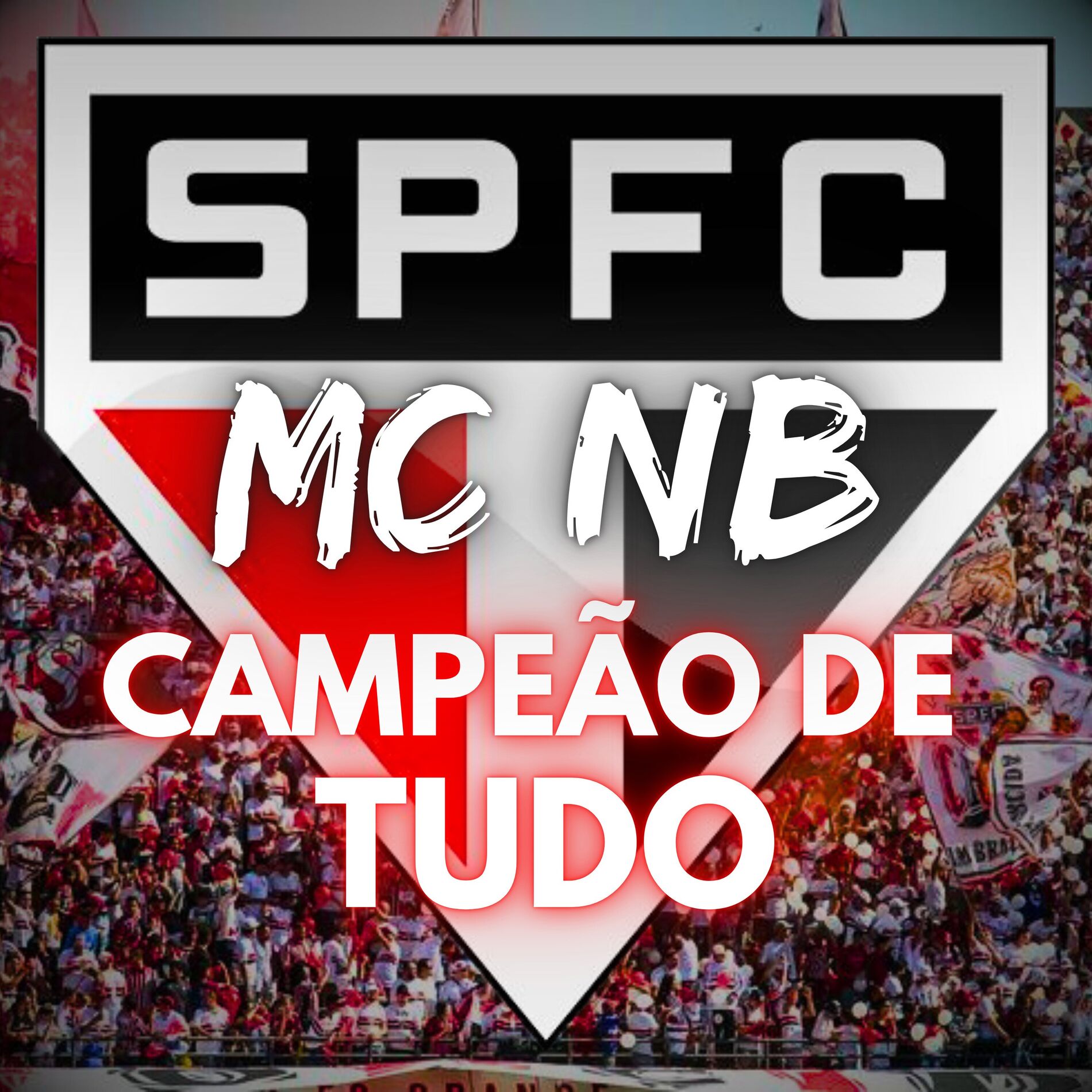 Album cover of Campeão de Tudo