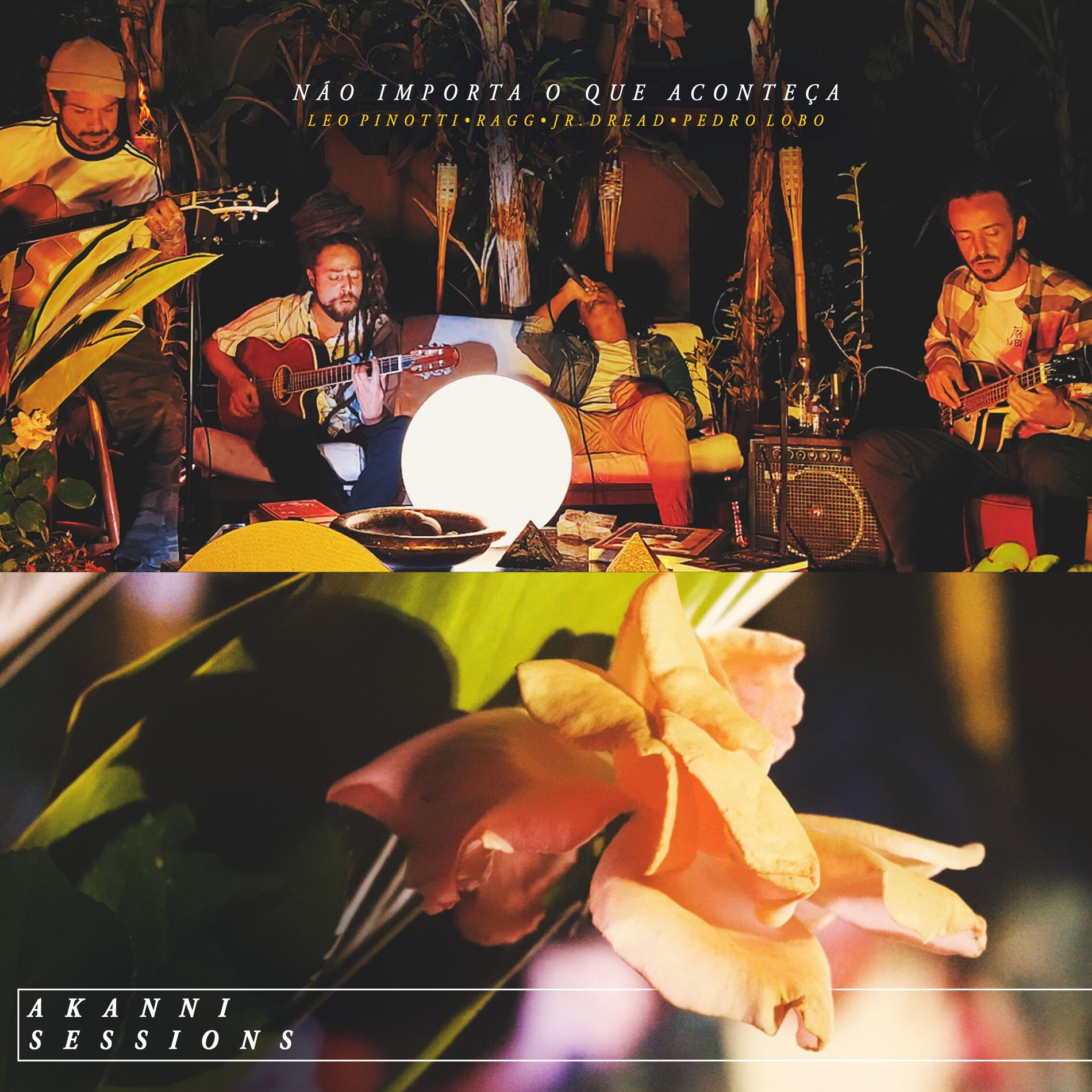 Album cover of Não Importa o Que Aconteça