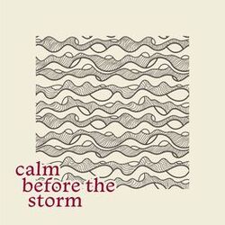 Cover of Calm Before the Storm