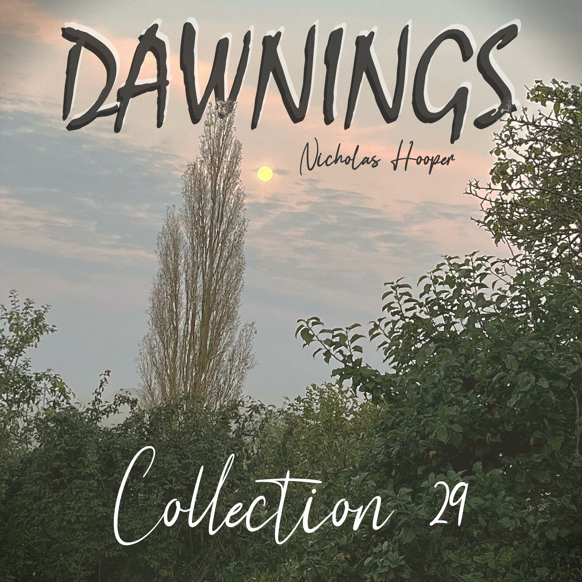 Album cover of Dawnings: Collection 29