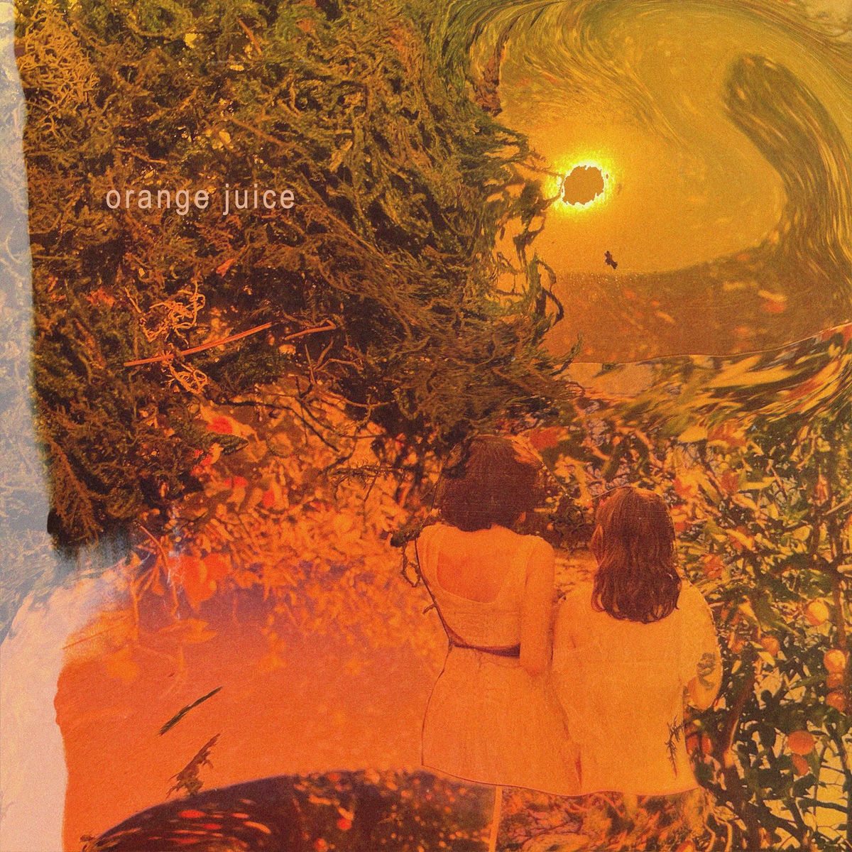 Album cover of Orange Juice