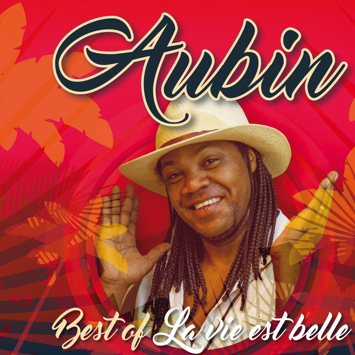 Album cover of Met dan la joie