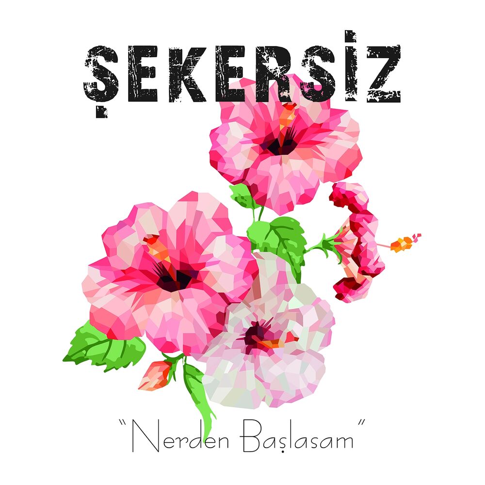 Picture of Nerden Başlasam