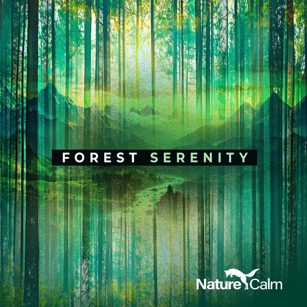 Picture of Forest Serenity