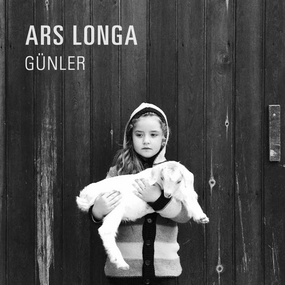 Album cover of Ceviz Renk Sandıklar