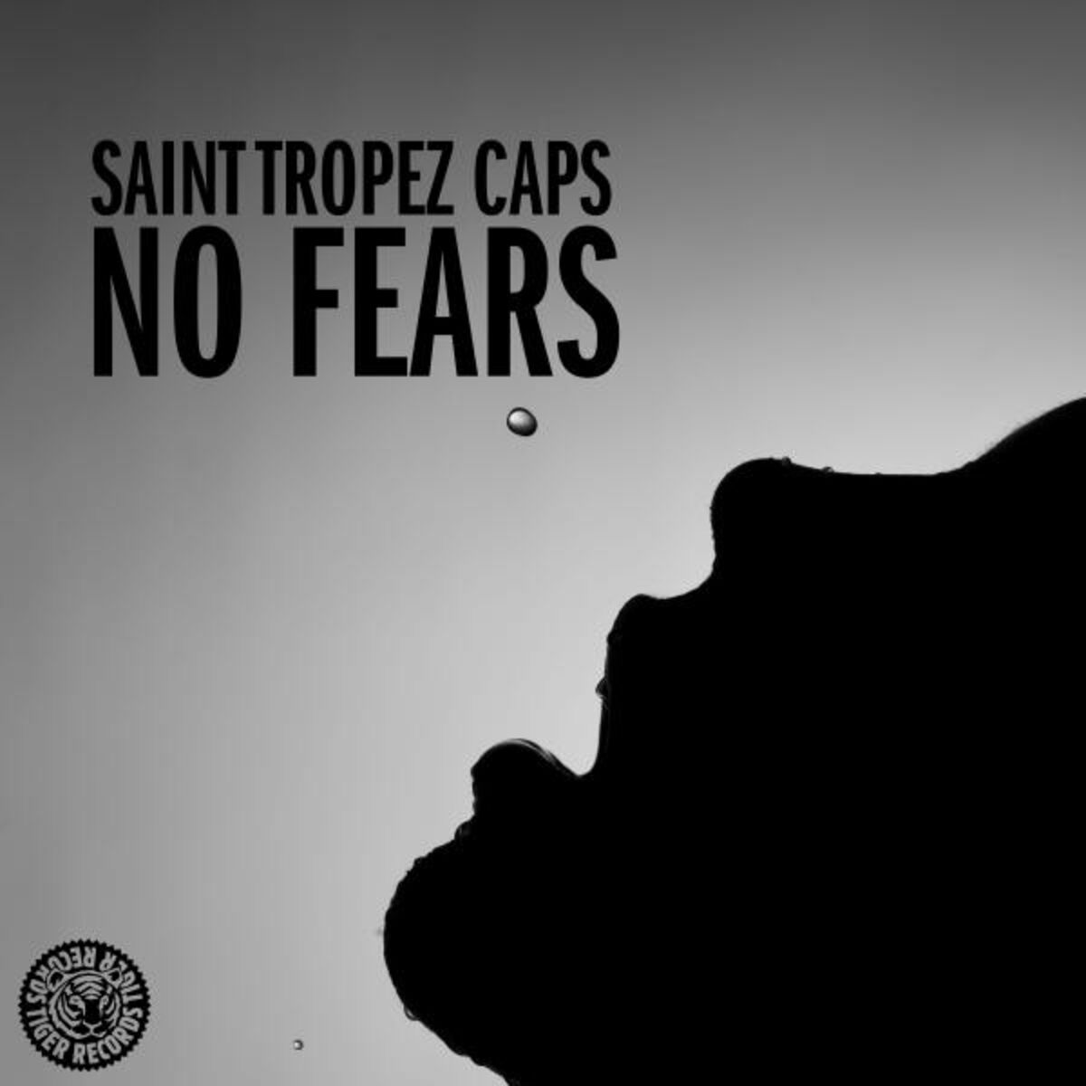 Album cover of No Fears
