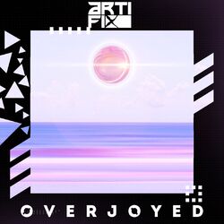 Cover of Overjoyed