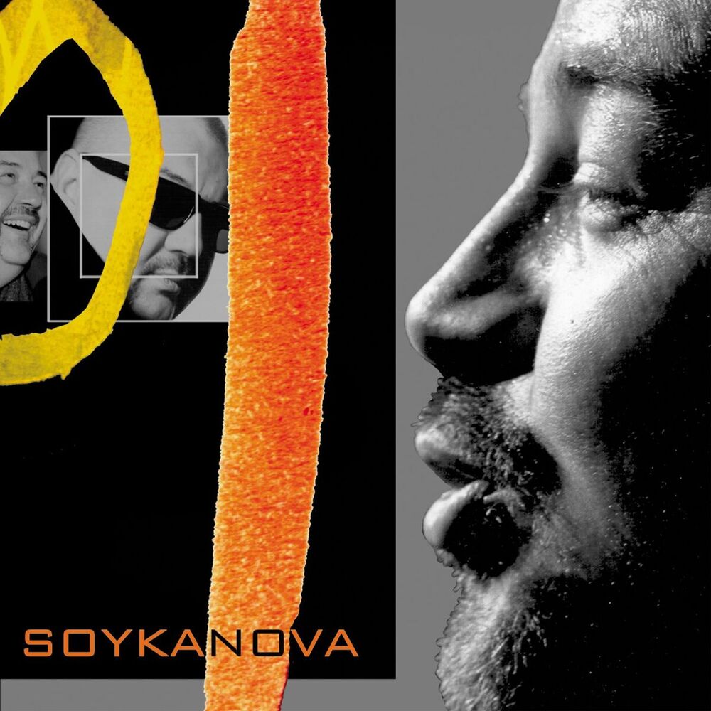 Picture of Soykanova
