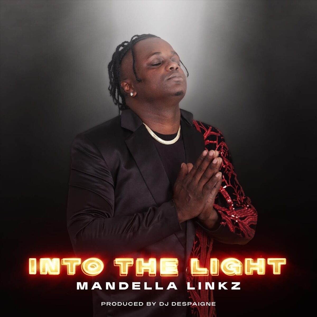 Album cover of Into the Light