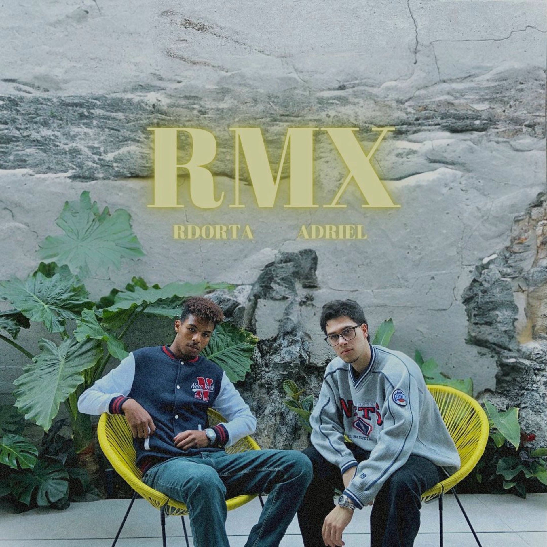 Album cover of RMX