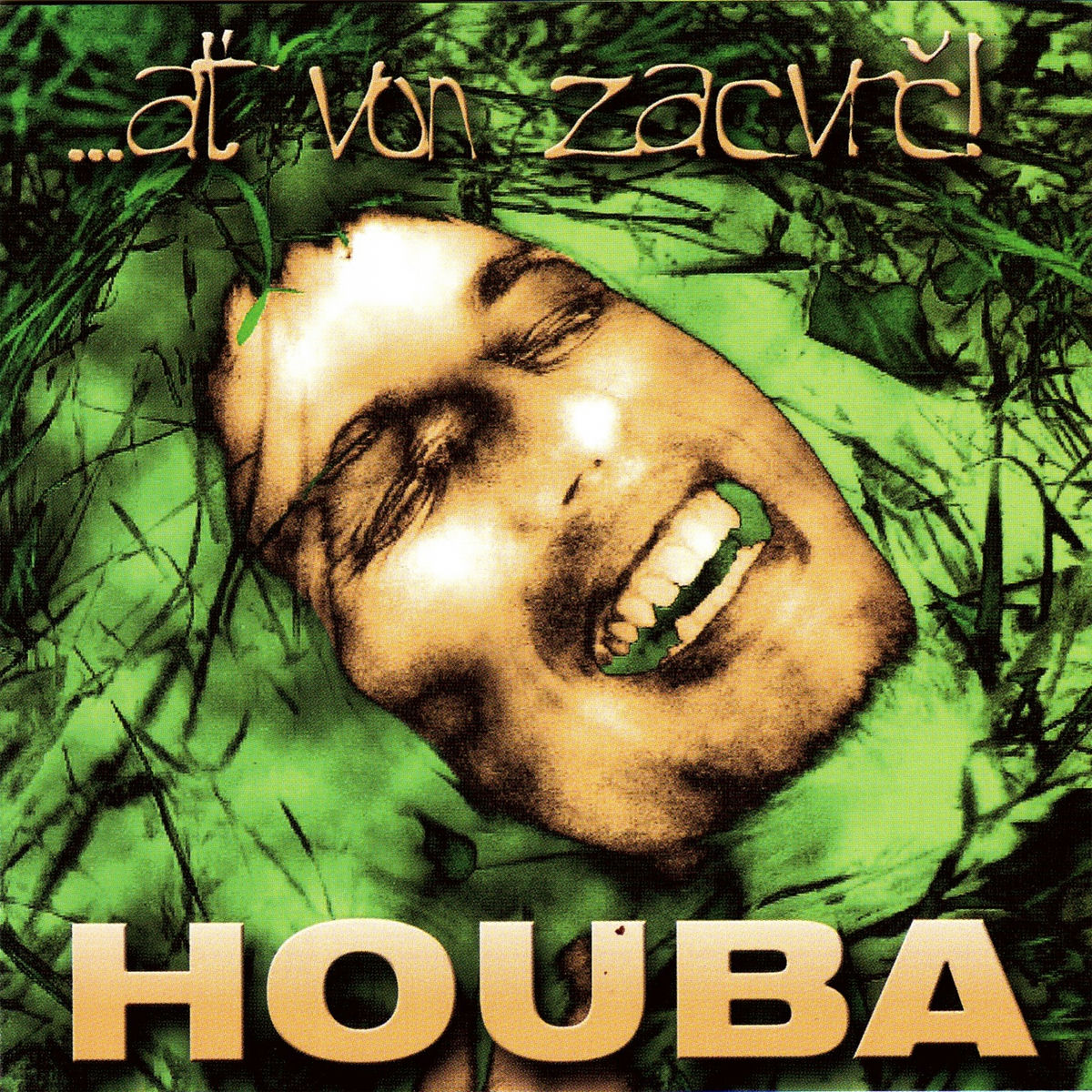 Album cover of ...Ať Von Zacvrč!
