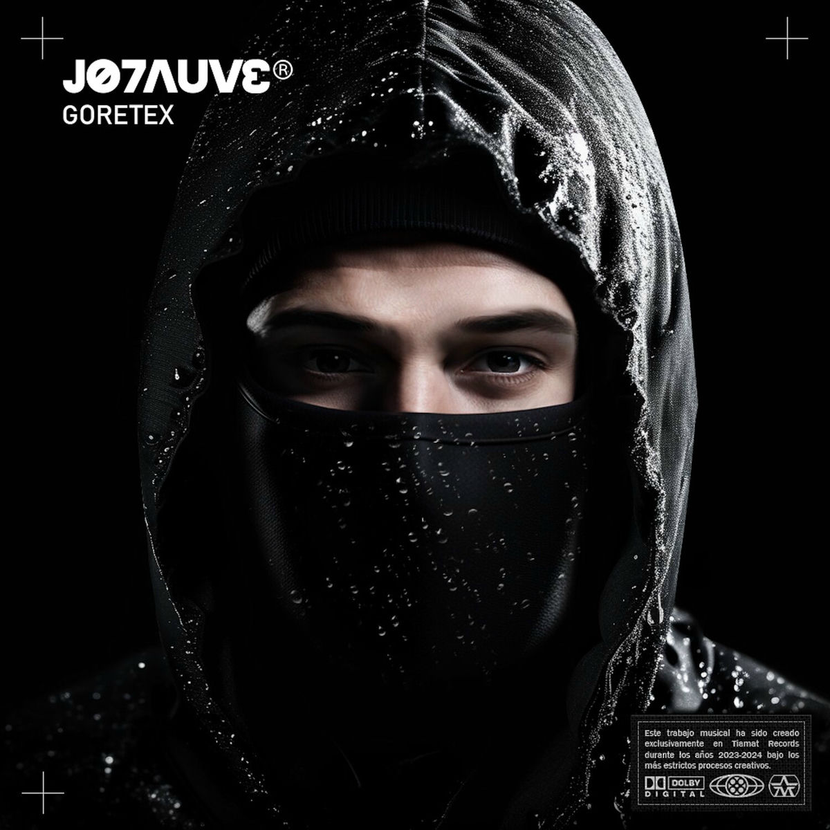 Album cover of Goretex